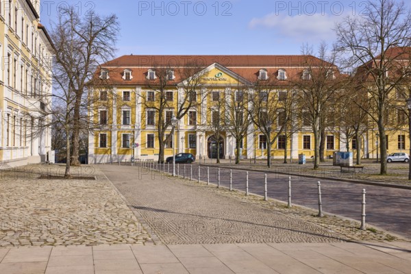 Motel One hotel, historic building, baroque architectural style, bare winter trees, bollards, blue sky, cumulus clouds, cathedral square, Magdeburg, state capital, independent city, Saxony-Anhalt, Germany