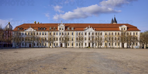 State Parliament, historical buildings, baroque architecture, row of houses, Reinicke's Palace, Winneberg's Palace, Walrave's Palace, bare winter trees, blue sky, cumulus clouds, cathedral square, Magdeburg, state capital, independent city, Saxony-Anhalt, Germany