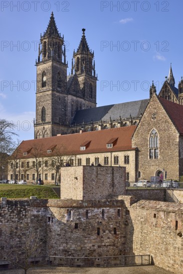 Magdeburg Cathedral, Gothic architecture, bastion Cleve, defence defence tower Cleve, bare winter trees, blue sky, cumulus clouds, at the cathedral, cathedral square, Magdeburg, state capital, independent city, Saxony-Anhalt, Germany
