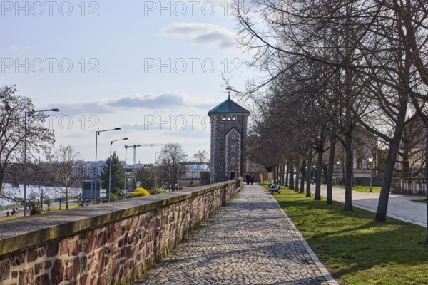 City fortification, city wall, defence defence tower, footpath, old town, bare wintry trees, lawn, sidelight, blue sky, cumulus clouds, Fürstenwall, Magdeburg, state capital, independent city, Saxony-Anhalt, Germany