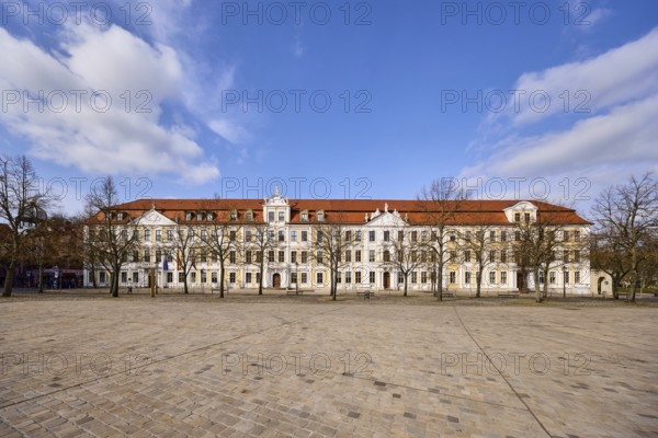 State parliament, historic houses, baroque architectural style, row of houses, bare wintry trees, cobblestone square, blue sky, cumulus clouds, cathedral square, Magdeburg, state capital, independent city, Saxony-Anhalt, Germany