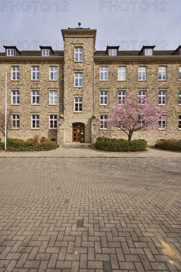 Tax office, sandstone building, Japanese flowering cherry (Prunus serrulata), flowering tree, hedge, sunny, Magdeburg, state capital, independent city, Saxony-Anhalt, Germany
