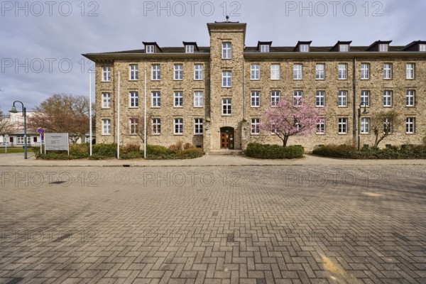 Tax office, sandstone building, Japanese flowering cherry (Prunus serrulata), flowering tree, hedge, sunny, Magdeburg, state capital, independent city, Saxony-Anhalt, Germany