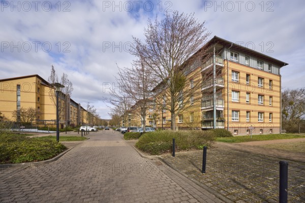 Residential area, apartment blocks, residential building, lantern, bollard, bare winter trees, parking boxes, vehicles, blue sky, cumulus clouds, street Großer Werder, Magdeburg, state capital, independent city, Saxony-Anhalt, Germany