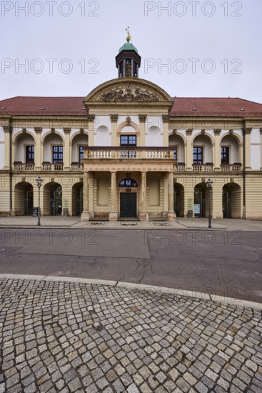 Historic town hall, old town centre, sandstone building, diffuse light, cloudy, Alter Markt, Magdeburg, state capital, independent city, Saxony-Anhalt, Germany
