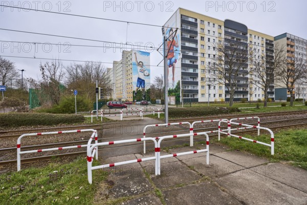 MWG-Wohnungsgenossenschaft eG Magdeburg, residential buildings, high-rise buildings, tram crossing, barrier railings, tram tracks, overhead lines, concrete slab pavement, bare wintry trees, diffuse light, cloudy, Lumumbastraße, Ebendorfer Chaussee, Magdeburg, state capital, independent city, Saxony-Anhalt, Germany