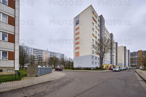 MWG-Wohnungsgenossenschaft eG Magdeburg, high-rise buildings, residential buildings, asphalt road, bare winter trees, car park with vehicles, diffuse light, cloudy, Lumumbastrasse, Magdeburg, state capital, independent city, Saxony-Anhalt, Germany