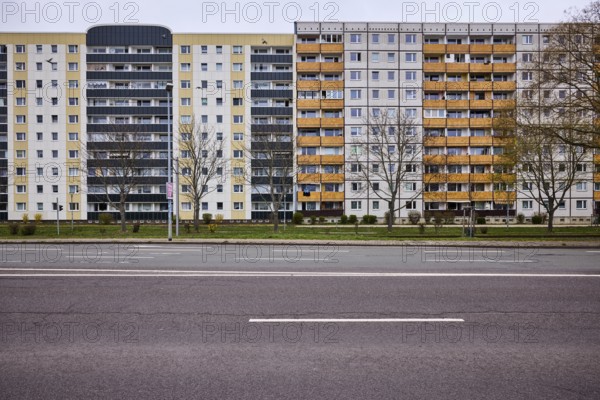 Residential building, high-rise buildings, facade, window, balcony, bare wintry trees, lantern, road surface, asphalt, lane markings, diffuse light, cloudy, Ebendorfer Chaussee, Magdeburg, state capital, independent city, Saxony-Anhalt, Germany
