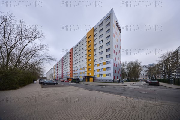 High-rise buildings, residential buildings, residential silos, facade, windows, car park with vehicles, bare winter trees, intersection of Pablo-Neruda-Straße and Victor-Jara-Straße, Magdeburg, state capital, independent city, Saxony-Anhalt, Germany