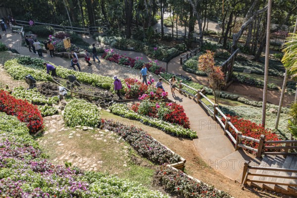 Tourists walking past colorful flowers and lush gardens while laborers maintain the grounds of the Mae Fah Luang Gardens within the Doi Tung tourist attraction in Chiang Rai, Thailand