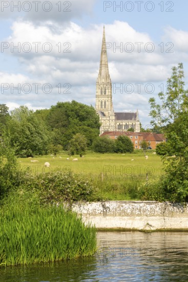 View from Harnham Lock over water meadows to Salisbury cathedral church, Salisbury, Wiltshire, England, UK