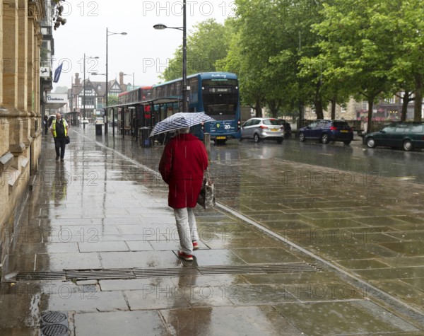 Woman with umbrella walking in heavy rain, city centre of Salisbury, Wiltshire, England, UK