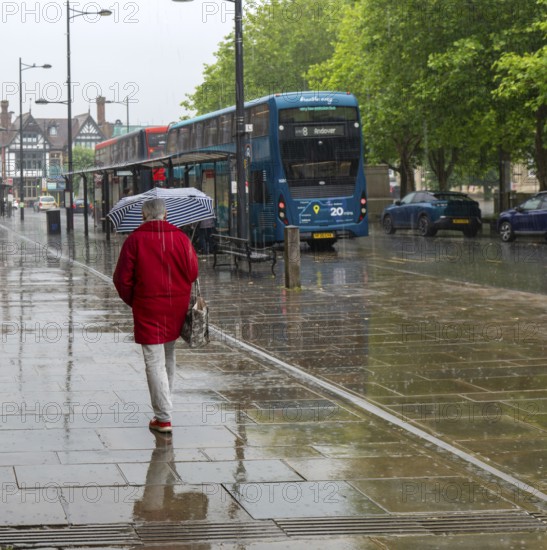 Woman with umbrella walking in heavy rain, city centre of Salisbury, Wiltshire, England, UK