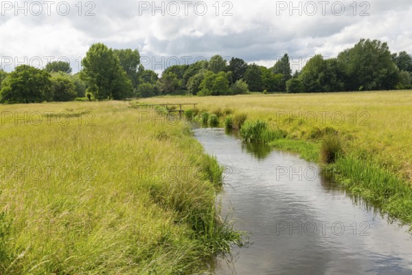View west of drainage channel in watermeadow, Harnham Water Meadows, Salisbury, Wiltshire, England, UK
