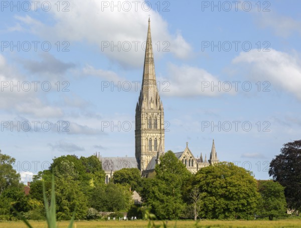 View over water meadows to Salisbury cathedral church, Salisbury, Wiltshire, England, UK