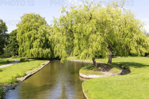 River Avon channel, Elizabeth Gardens public park, Salisbury, Wiltshire, England, UK