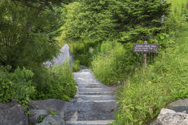 Entrance to Forney Ridge Trail, Forney Creek Trail and Andrews Bald Trail from Clingman's Dome in the Great Smoky Mountains National Park