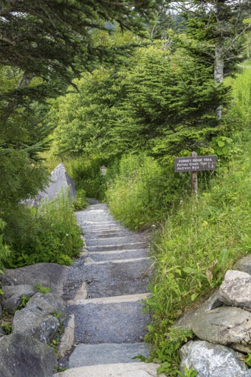 Entrance to Forney Ridge Trail, Forney Creek Trail and Andrews Bald Trail from Clingman's Dome in the Great Smoky Mountains National Park