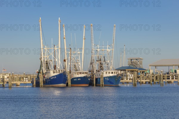 Commercial shrimp boats in the harbor at Pass Christian, Mississippi