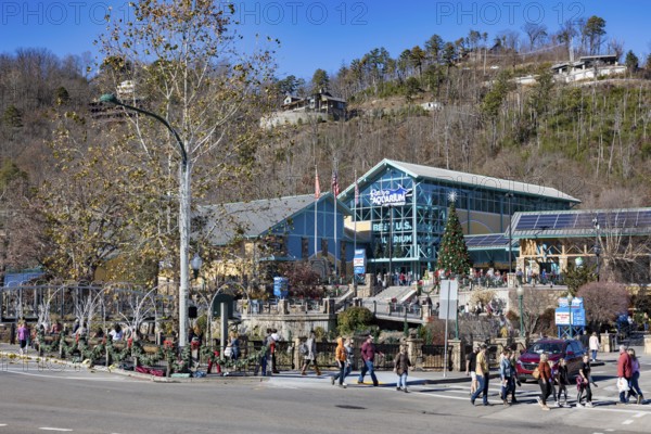 Tourists walking past Ripley's Aquarium of the Smokies on street decorated for the Christmas holiday in Gatlinburg, Tennessee