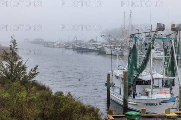Commercial fishing boats in the harbor at Ocean Springs, Mississippi on a foggy morning