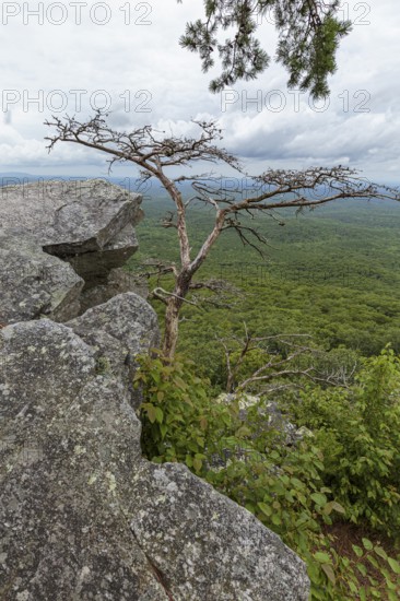 Overlook along the Pulpit Rock Trail in Cheaha State Park, Alabama, USA