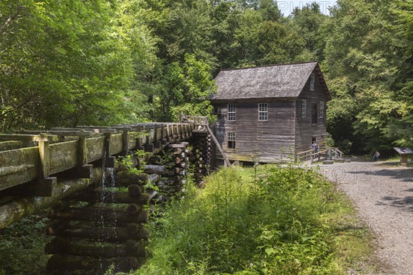 Wooden chute carries water to Mingus Mill to power grist mill for grinding corn in Great Smoky Mountains National Park near Cherokee, North Carolina