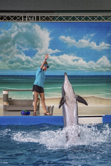 Trainers working with Dolphins during show at Ocean Adventures Marine Park in Gulfport, Mississippi