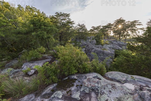 Sun shining through the trees onto the rock outcroppings at Cheyene Rock Village park near Leesburg, Alabama