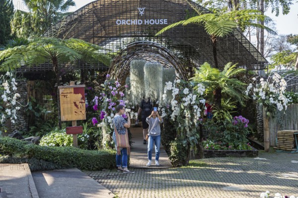 Woman taking selfie photo at the Orchid House at Mae Fah Luang Gardens within the Doi Tung tourist attraction in Chiang Rai, Thailand
