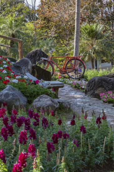 Orange bicycle decoration along the walking path at Mae Fah Luang Gardens within the Doi Tung tourist attraction in Chiang Rai, Thailand