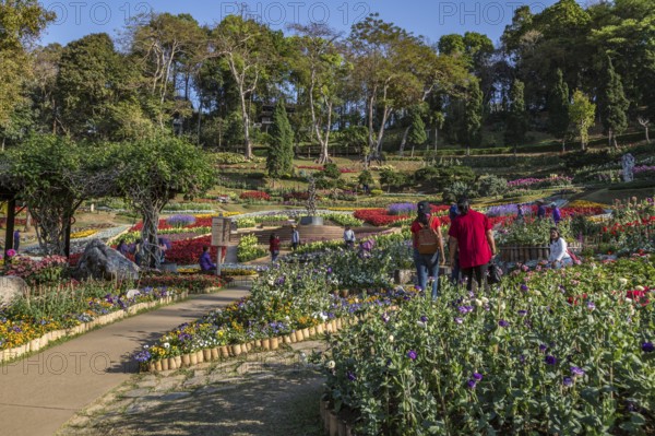 Mae Fah Luang Gardens within the Doi Tung tourist attraction in Chiang Rai, Thailand