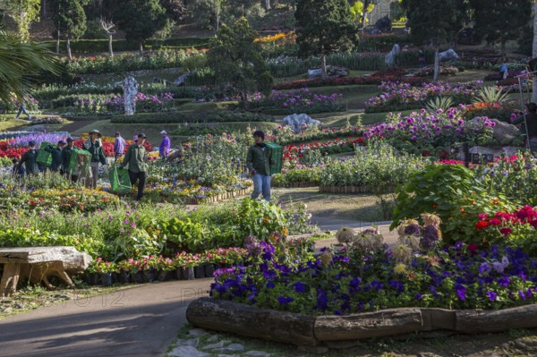 Landscape workers in Mae Fah Luang Gardens within the Doi Tung tourist attraction in Chiang Rai, Thailand