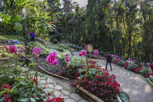 Tourists walking past colorful flowers and lush gardens while laborers maintain the grounds of the Mae Fah Luang Gardens within the Doi Tung tourist attraction in Chiang Rai, Thailand