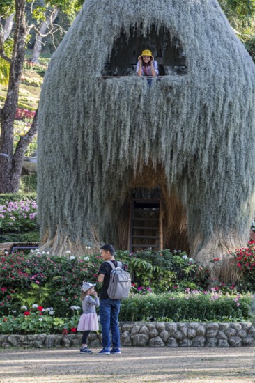 Thai woman in the top window of the Llama tree at Mae Fah Luang Gardens within the Doi Tung tourist attraction in Chiang Rai, Thailand