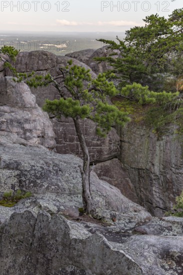 Mountaintop view from Cheyene Rock Village park near Leesburg, Alabama