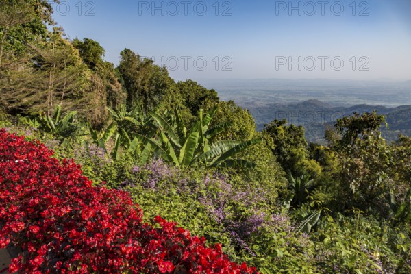 Colorful lush flower gardens line the perimeter of the mountain top Doi Tung Royal Villa lawn with a panoramic view of the surrounding land at the Doi Tung tourist attraction in Chiang Rai, Thailand