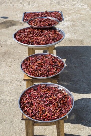 Trays of peppers on the sidewalk for sale along Ban Du street in Chiang Rai, Thailand
