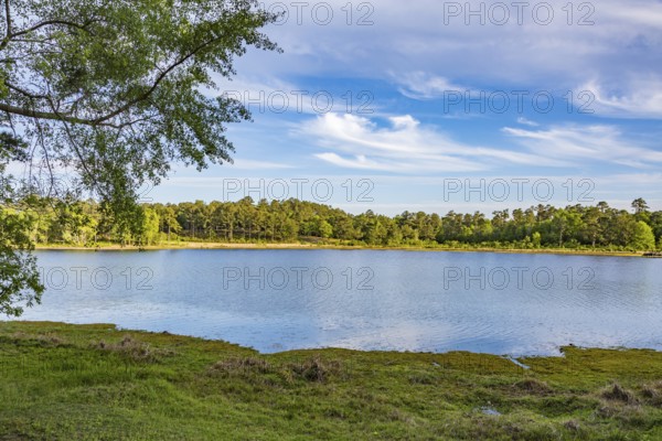 Lake at Little Black Creek campground near Lumberton, Mississippi
