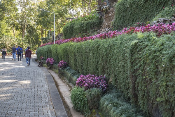 American tourists walking on street through lush gardens leading to the Doi Tung Royal Villa inside the Doi Tung tourist attraction in Chiang Rai, Thailand