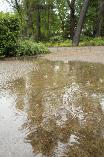 Rain puddle, rainwater, Ostseeallee, Baltic Sea, Baltic seaside resort, Kühlungsborn, Rostock district, Mecklenburg-Western Pomerania, Germany