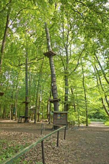 Climbing forest, leisure park, Ostseeallee, Baltic resort, Kühlungsborn, Rostock district, Mecklenburg-Vorpommern, Germany