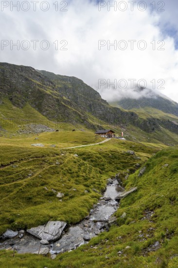 Mountain stream between alpine meadows with Martalm, Lazzacher Tal, Seven Lakes Hike, Stubai Alps, near Ridnaun, South Tyrol, Italy