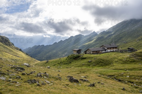 Alpine meadows with Martalm, Lazzacher Tal, Seven Lakes Hike, Stubai Alps, near Ridnaun, South Tyrol, Italy