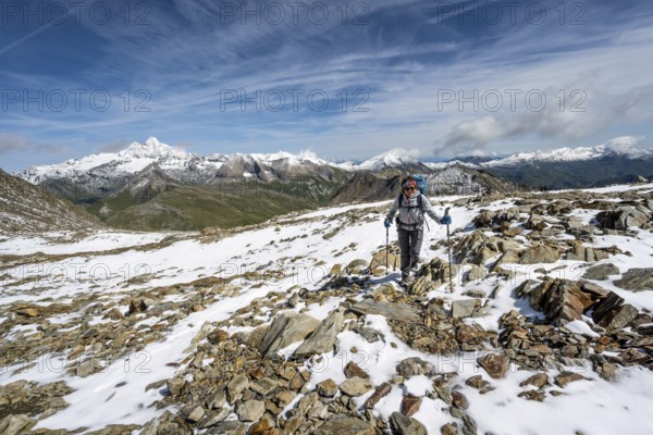 Mountaineer in blocky terrain with fresh snow in summer, ascent to the summit Böses Weibl, view of mountain landscape with snow-covered summit of the Großglockner, Wiener Höhenweg, Schober group, Hohe Tauern National Park, Carinthia, Austria