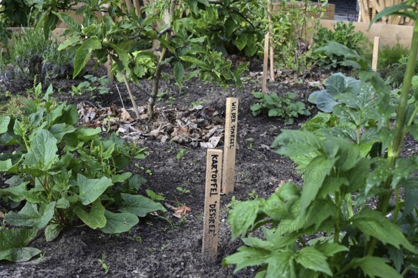 Outdoor exhibition on agriculture and cultivation in front of the Futurium next to the Federal Ministry of Research, Technology and Space