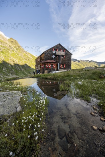 Mountain hut Elberfelderhütte with small lake and cotton grass, in the morning light, in the upper Gössnitz valley, Wiener Höhenweg, Schober group, Hohe Tauern National Park, Carinthia, Austria