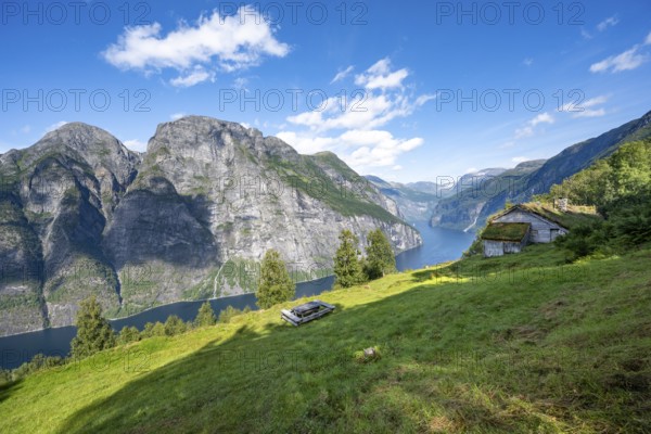 Blomberg Gård, historic mountain farm with grass roof on a steep mountainside above the Geirangerfjord, view of idyllic fjord landscape, near Geiranger, Møre og Romsdal, Norway