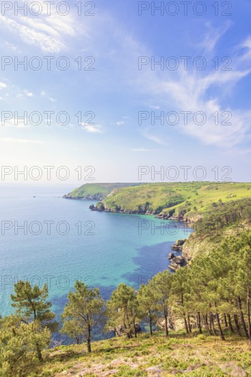 Scenics view at a rocky coastline with pine trees and a sea view to the horizon a sunny summer day by the sea, Crozon peninsula, Bretagne, France