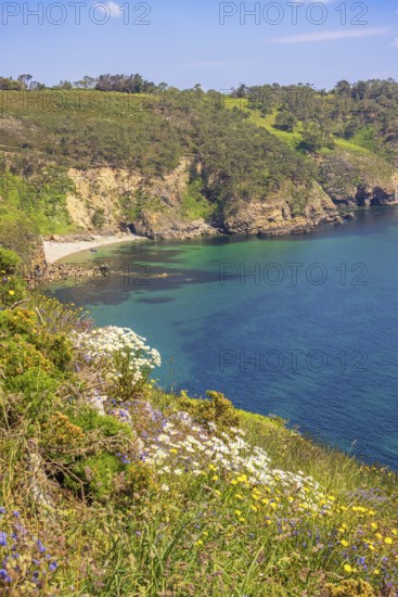 Wildflowers in bloom on a meadow by a rocky coastline with a seabay a sunny summer day by the sea, Crozon peninsula, Bretagne, France